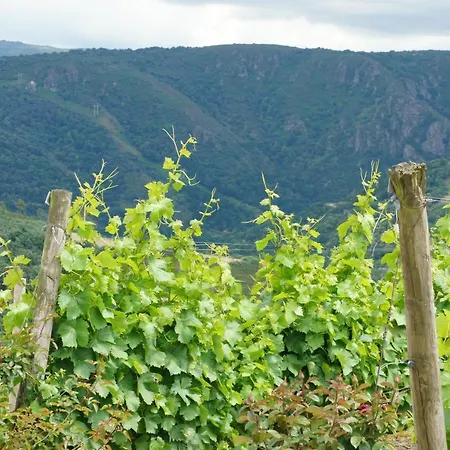 O Forno Casa Ferrador Ribeira Sacra Apartment *